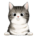  american wirehair 3