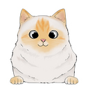  birman 2
