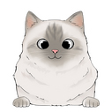  birman 3