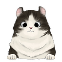 american curl 3