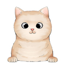  british shorthair 2