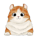  american curl 2