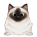  birman 1