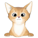  abyssinian 2