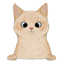  burmese 3