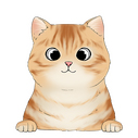  american shorthair 2