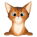  abyssinian 1