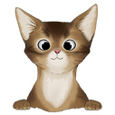  abyssinian 4