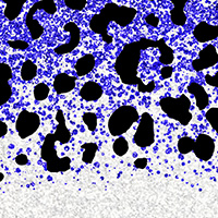 Value 2