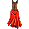 Belgian Malinois 3