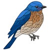 Blue Bird