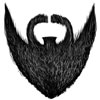 Black-The-Duck-Tail