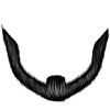 Black-Brett-Beard