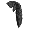 Black 16