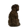 Affenpinscher 1