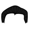 Black 15