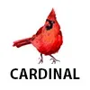 CARDINAL