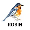 ROBIN