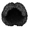 Black 43