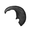 Black 5