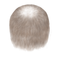 Old Man 12