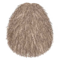 Old Woman 37