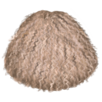 Old Woman 33