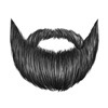 Black 10