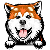 Akita 2