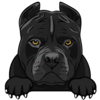 American Pitbull Terrier 1