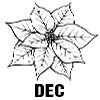Poinsettia