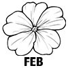 Primrose