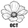Cosmos