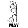 Lily Of The Valley
