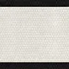 BG4