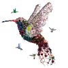 Hummingbird