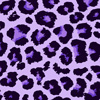 Background_Purple