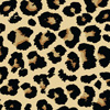 Background_Yellow
