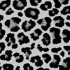 Background_Black