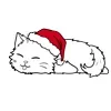 Long Hair - Santa