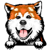Akita 2