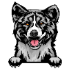 Akita 4