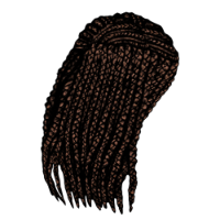Braided Hair