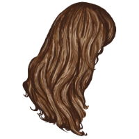 Long Brown Hair 
