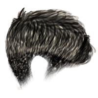 Crew Cut Black Hair