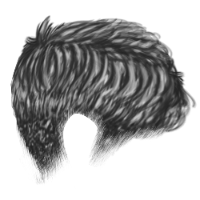 Crew Cut Gray Hair