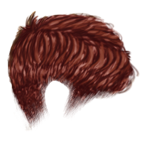 Crew Cut Red Hair