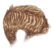 Crew Cut Blonde Hair
