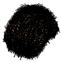 Kinky Hair
