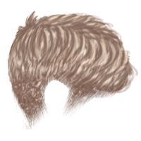 Crew Cut Light Blonde Hair